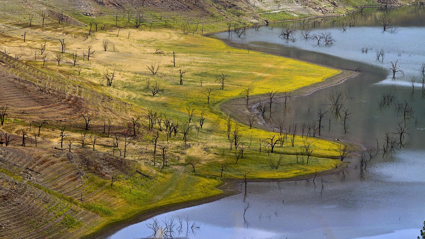 On Assignment: Focusing on the effects of California's persistent drought