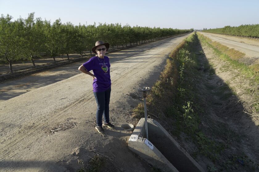 Elaine Moore stands next to a dry irrigation canal and almond orchard near her property, where two wells have gone dry this summer in Chowchilla, Calif., Sept. 14, 2022. Amid a megadrought plaguing the American West, more rural communities are losing access to groundwater as heavy pumping depletes underground aquifers that aren’t being replenished by rain and snow. (AP Photo/Terry Chea)