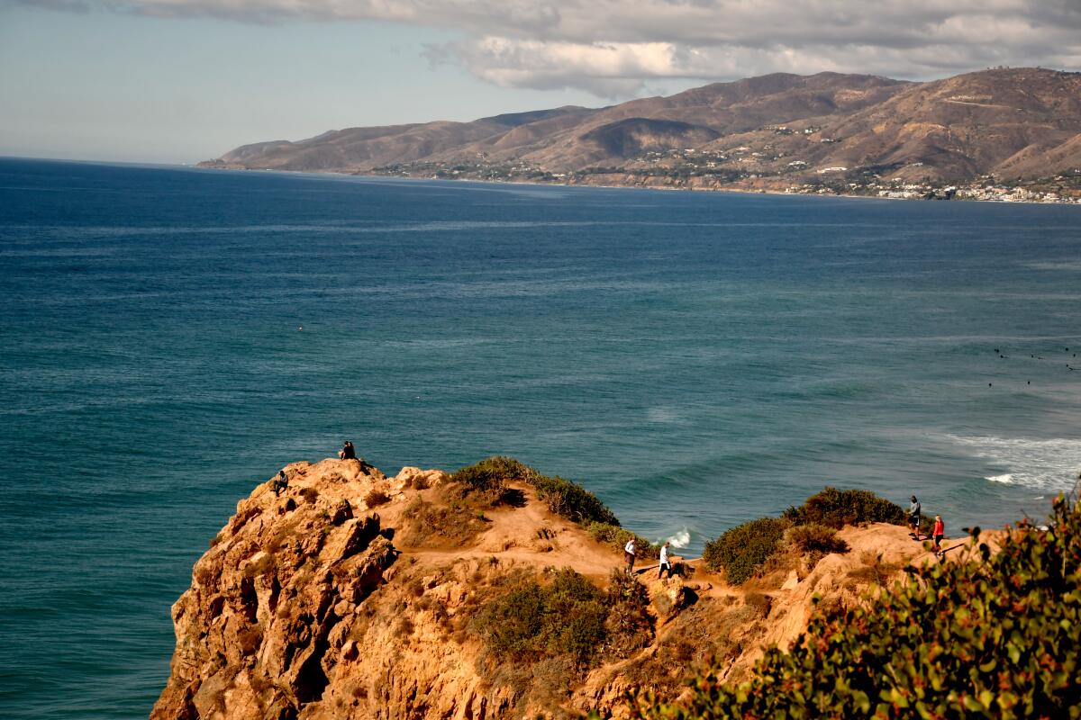 Scan the sea for whales from the trails in Point Dume.