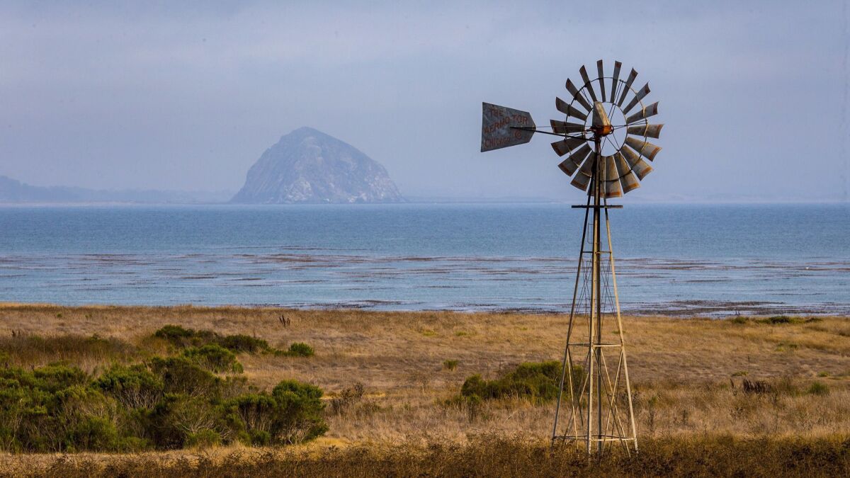 A windmill lines an undeveloped stretch of coast along Cayucos' Estero Bay with Morro Rock visible in the background.