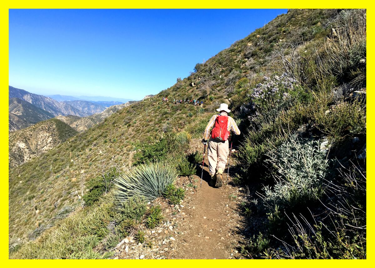 The best summit-worthy snacks to help you refuel on your hike 14 A person walks up a grassy hill along a path