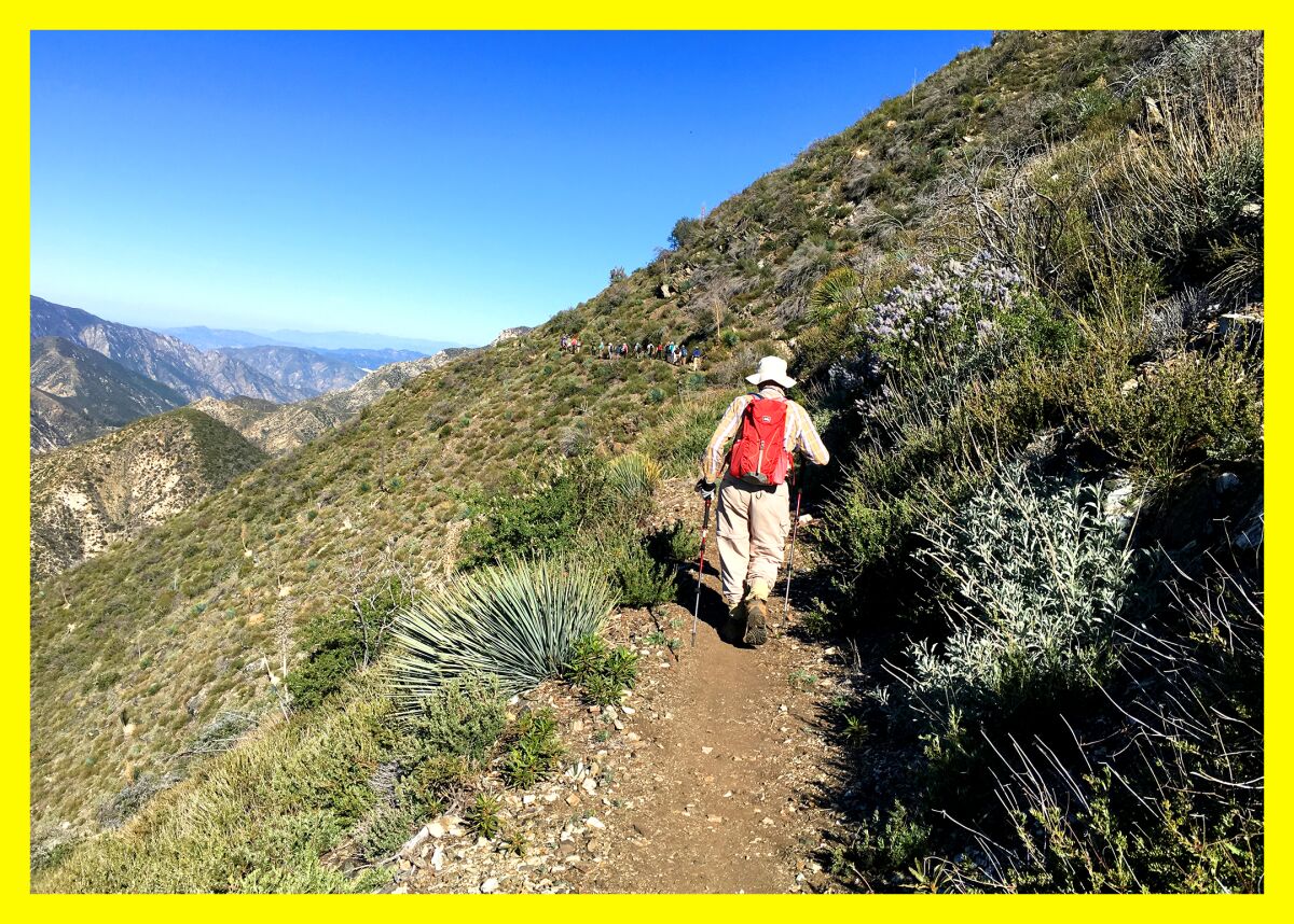 A person walks up a grassy hill along a path