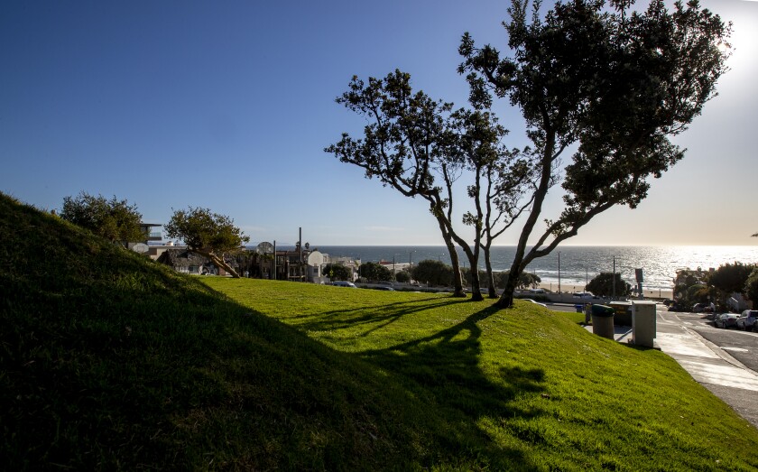 A view to the ocean from a grassy park with a small hill