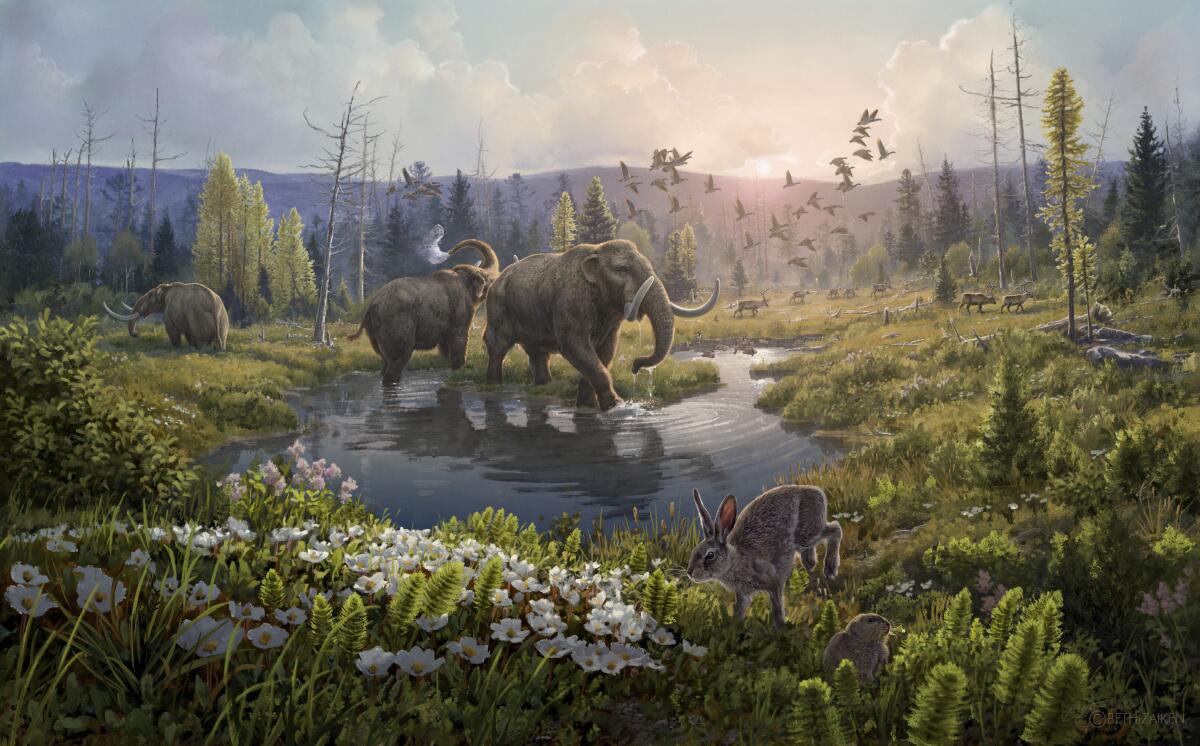Illustration showing mastodons in a lush environment