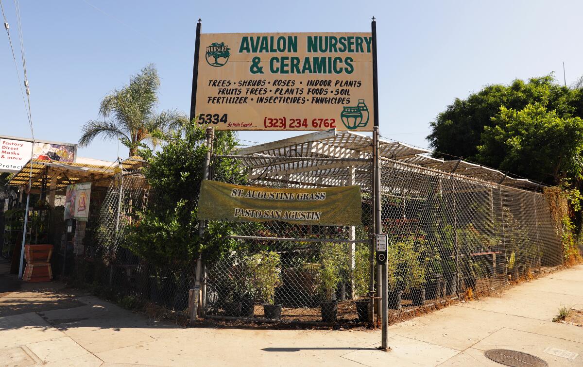 Avalon Nursery & Ceramics was a dusty strip of hard-packed dirt when Maria Lopez bought the narrow corner lot in 1987.