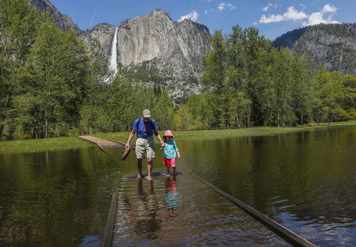 YOSEMITE VALLEY, CALIFORNIA, MAY 4, 2017: Richard DeYoung and his granddaughter Sienna Milandin walk through a flooded portion of the meadow in the Yosemite Valley with Yosemite Fall in the background May 4, 2017. Warmer weather is causing the snow to melt, and water levels in the Merced River and elsewhere around the Yosemite Valley are running high or near flood level (Mark Boster / Los Angeles Times ).