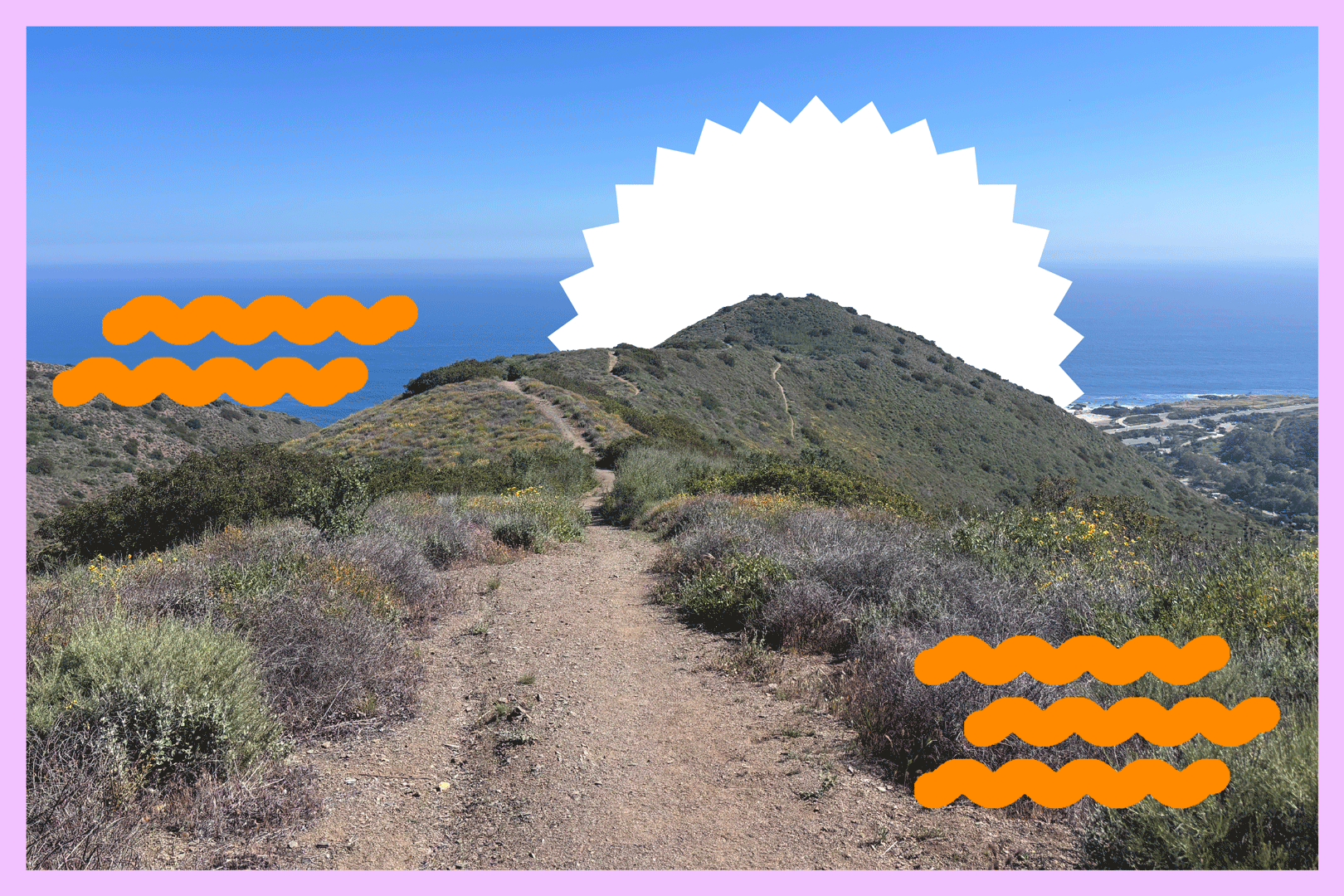 photo of a hiking trail on a hill with the pacific ocean in the background