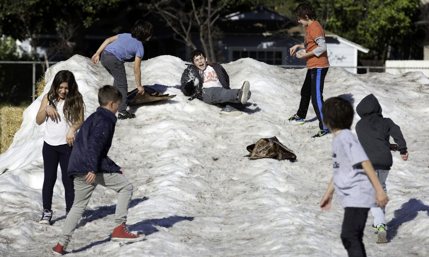 Elementary schoolchildren play on a snow hill at the Studio City Recreation Center in Studio City after all Los Angeles Unified School District campuses and several private schools were closed after a security threat.