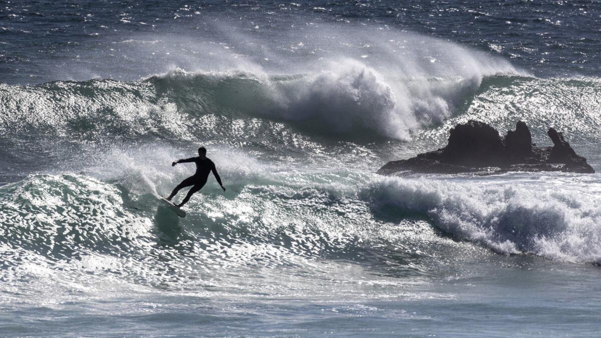 Southern California surfers dominated waves at home and abroad in 2019 –  Orange County Register