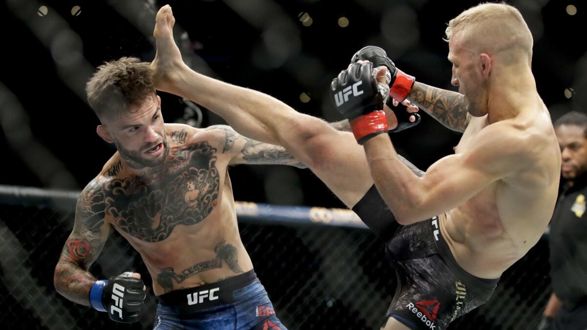 T.J. Dillashaw, right, kicks Cody Garbrandt during their UFC title bantamweight mixed martial arts bout at UFC 227 on Saturday.