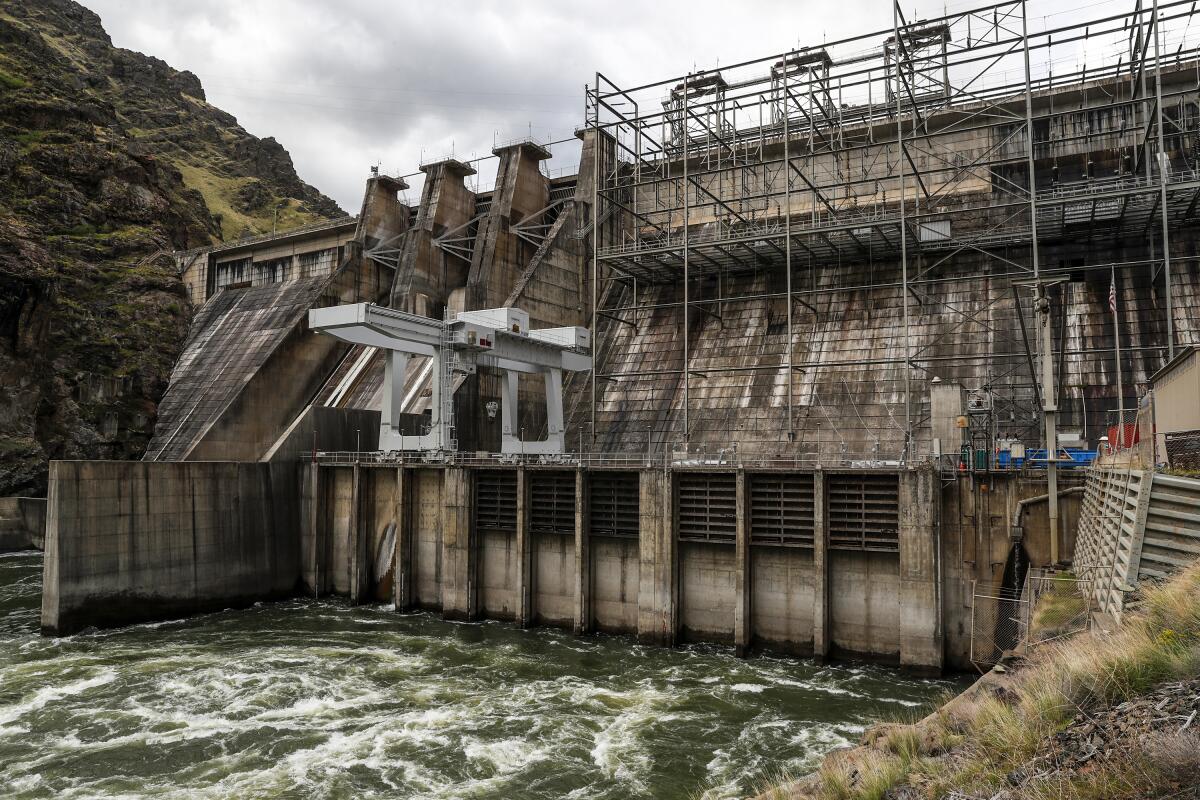 Are hydropower dams good or bad for the environment?