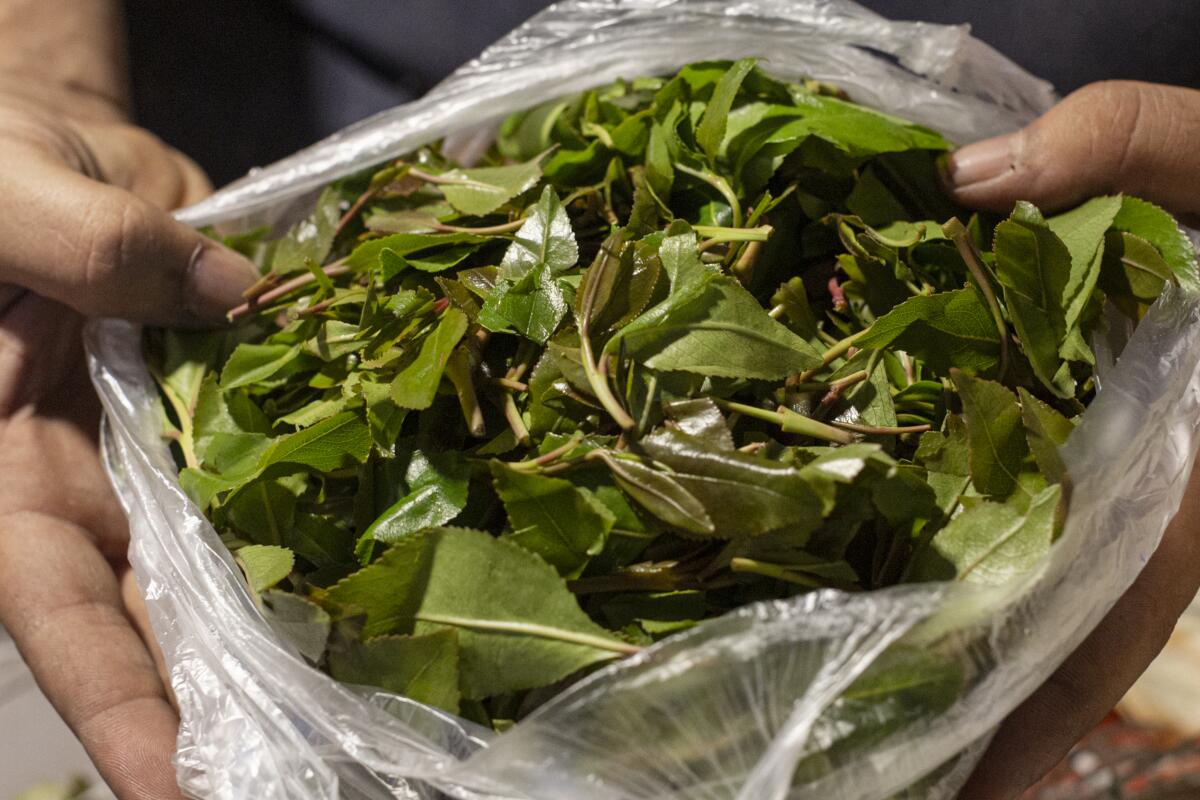 A bag of khat leaves on sale at a market in Ataq, Yemen.