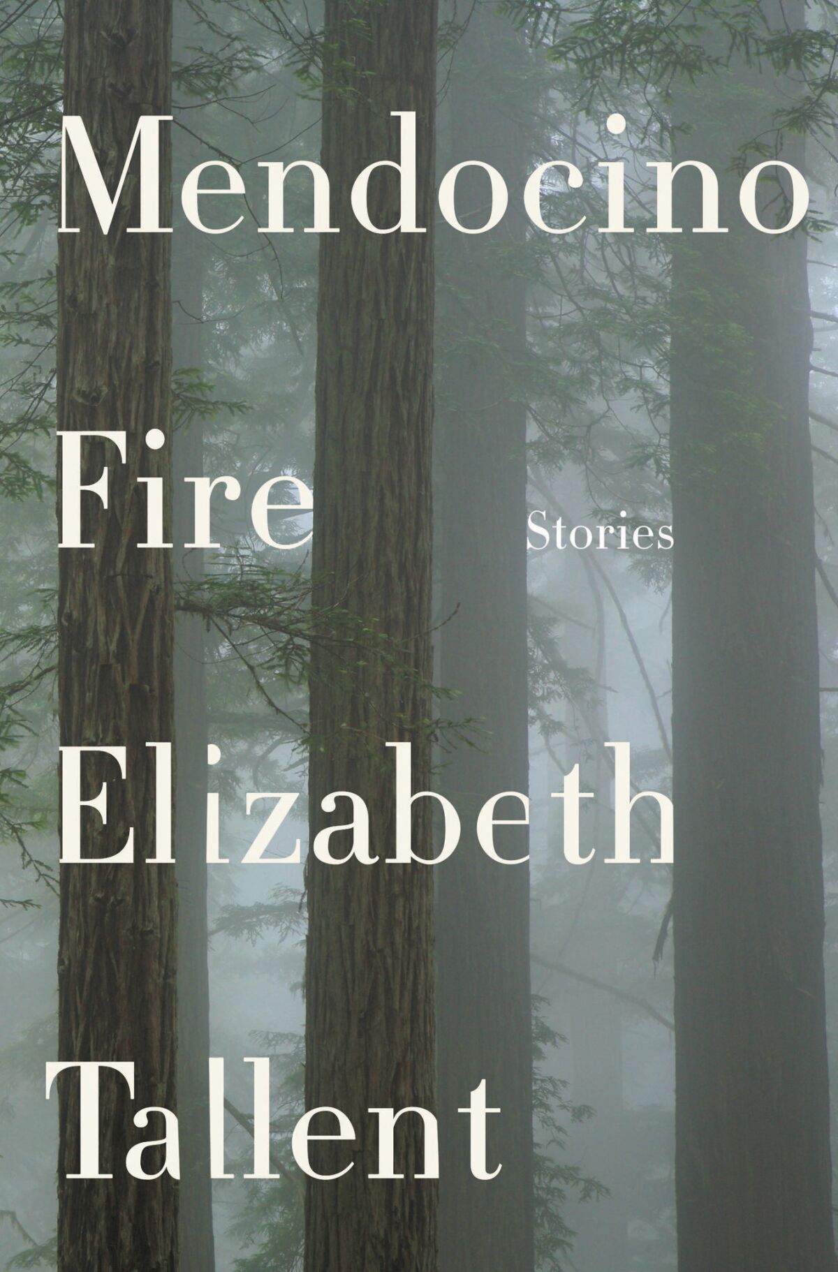 "Mendocino Fire" by Elizabeth Tallent