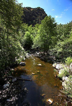 River run