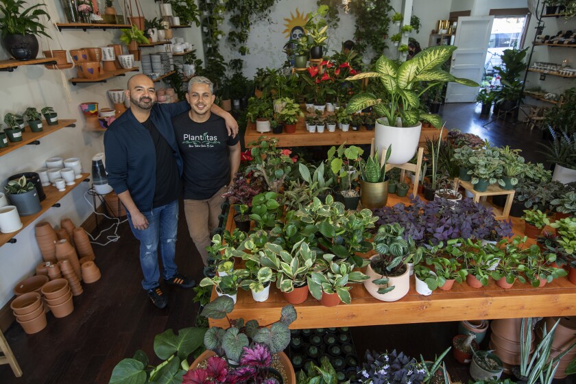 Two men stand in a room filled with plants