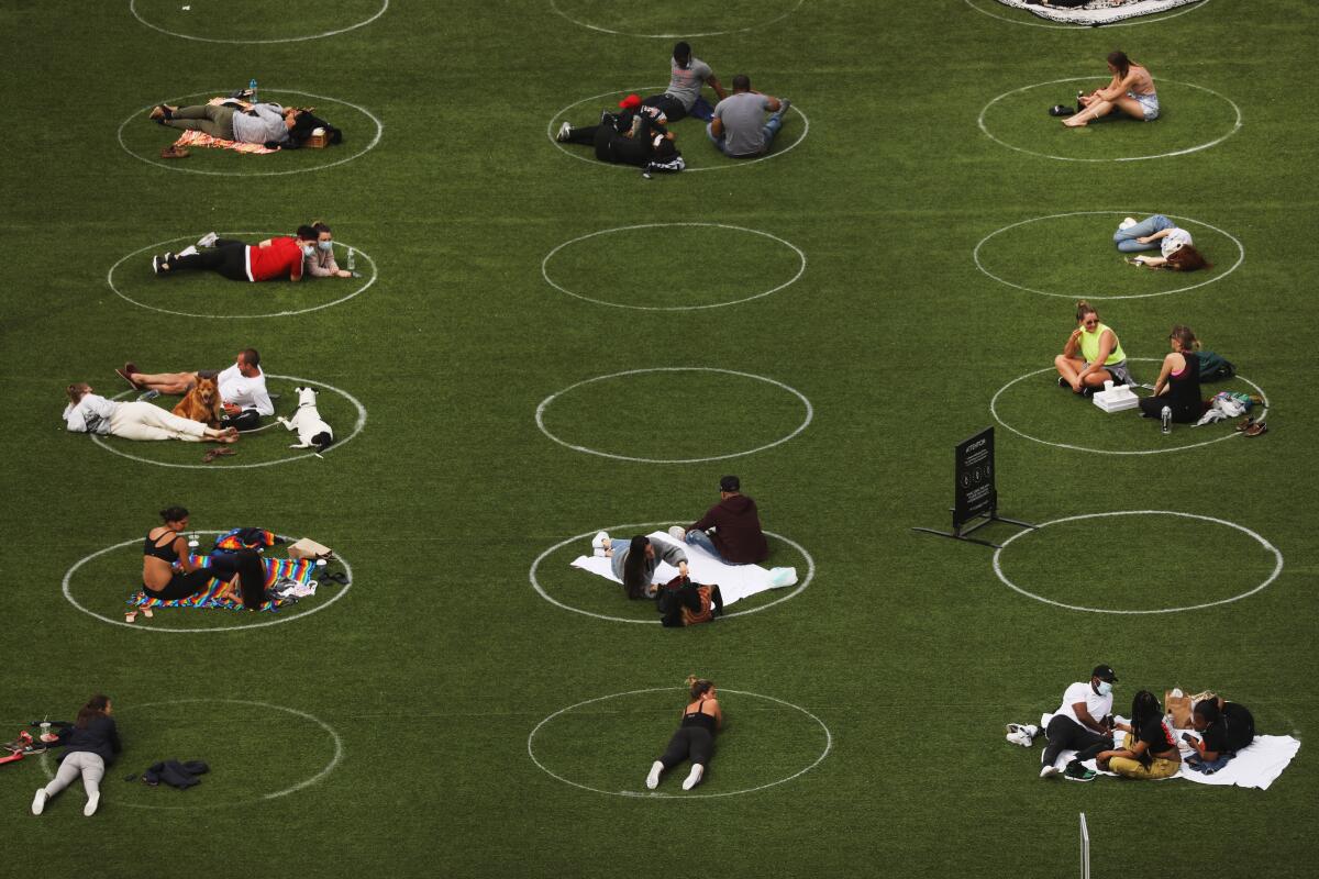 People sit  on the grass in circles for social distancing.