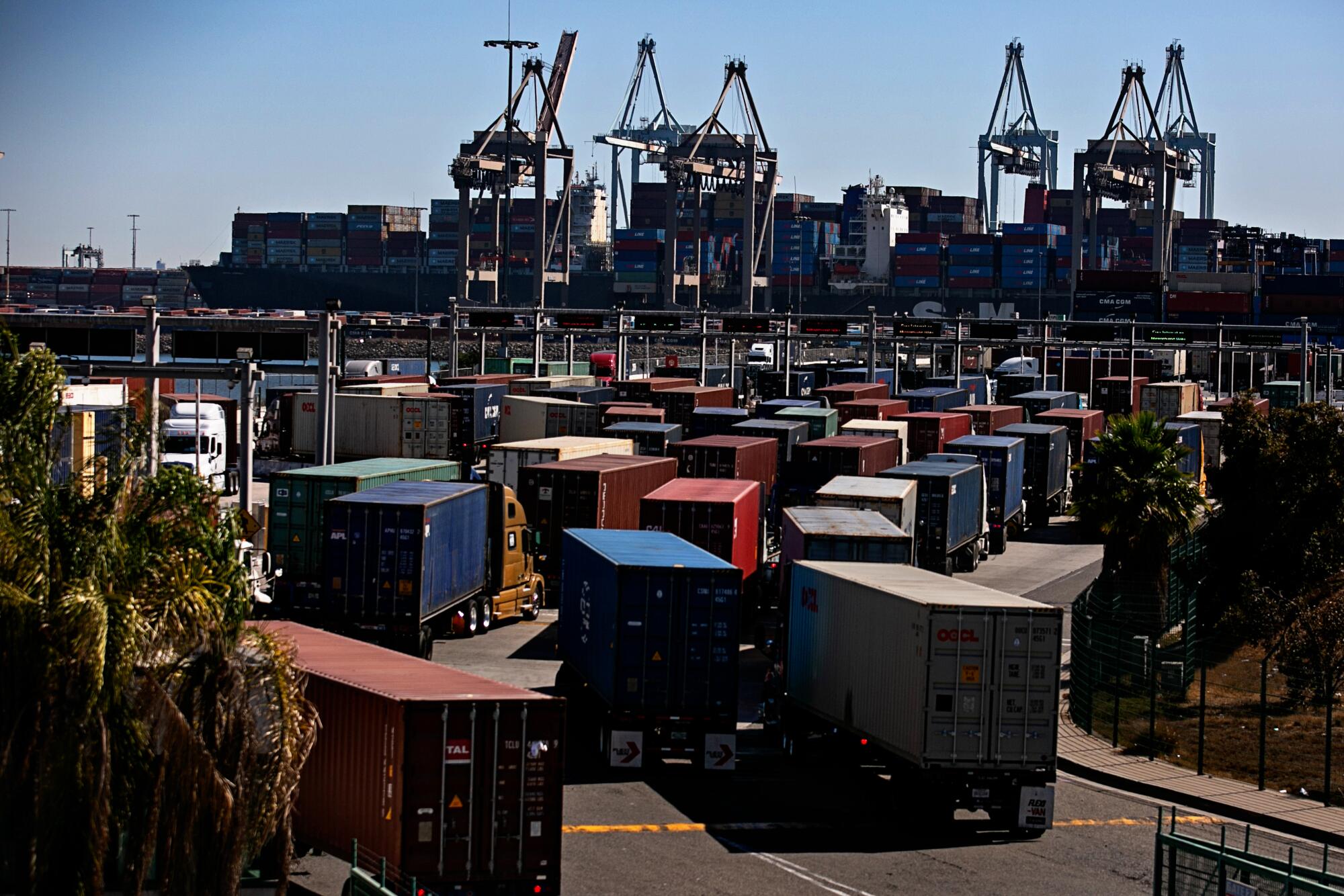 Cargo trucks wait in long lines to enter the port.