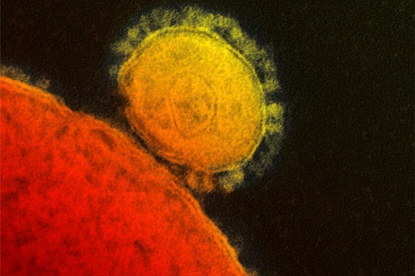 A MERS coronavirus particle. The World Health Organization's emergency committee on MERS reported on efforts to prevent the spread of the virus in the Middle East and beyond.