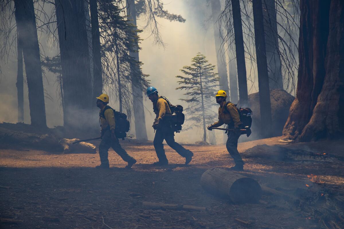Three firefighters amid smoke-shrouded trees.