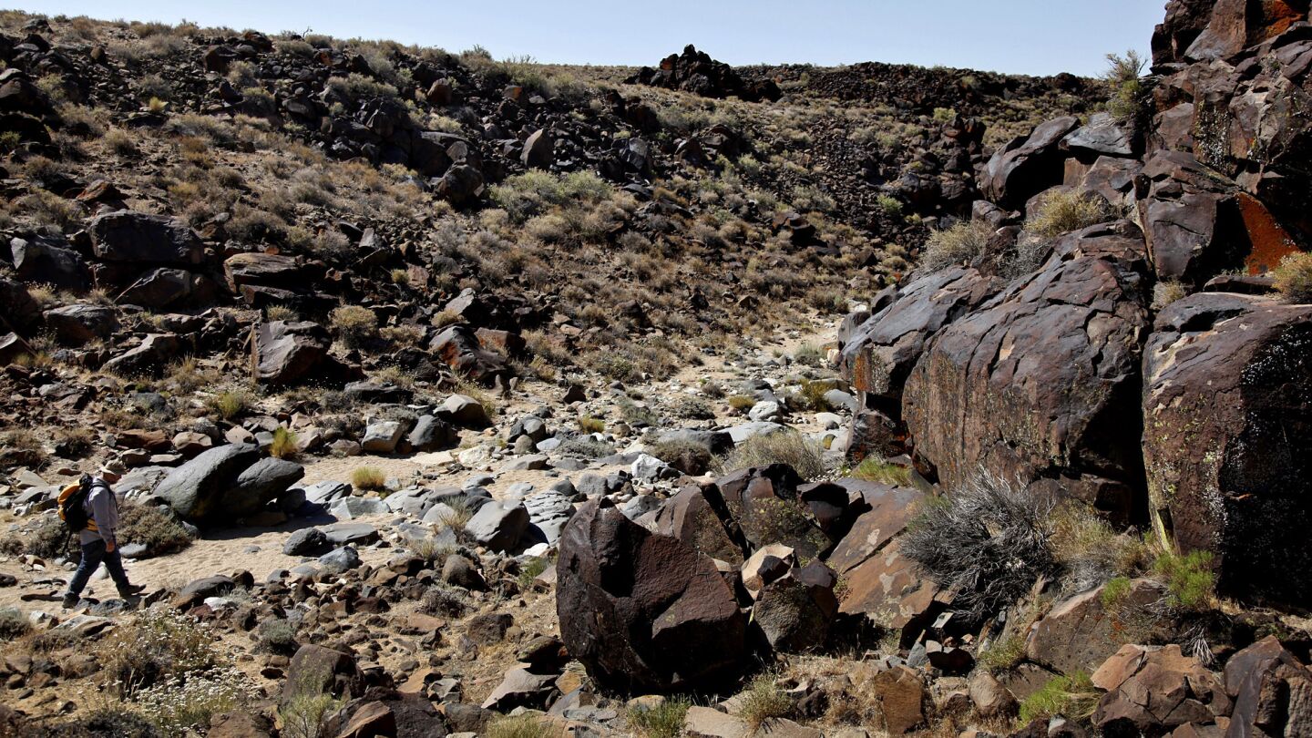 Michael Baskerville explores Little Petroglyph Canyon.