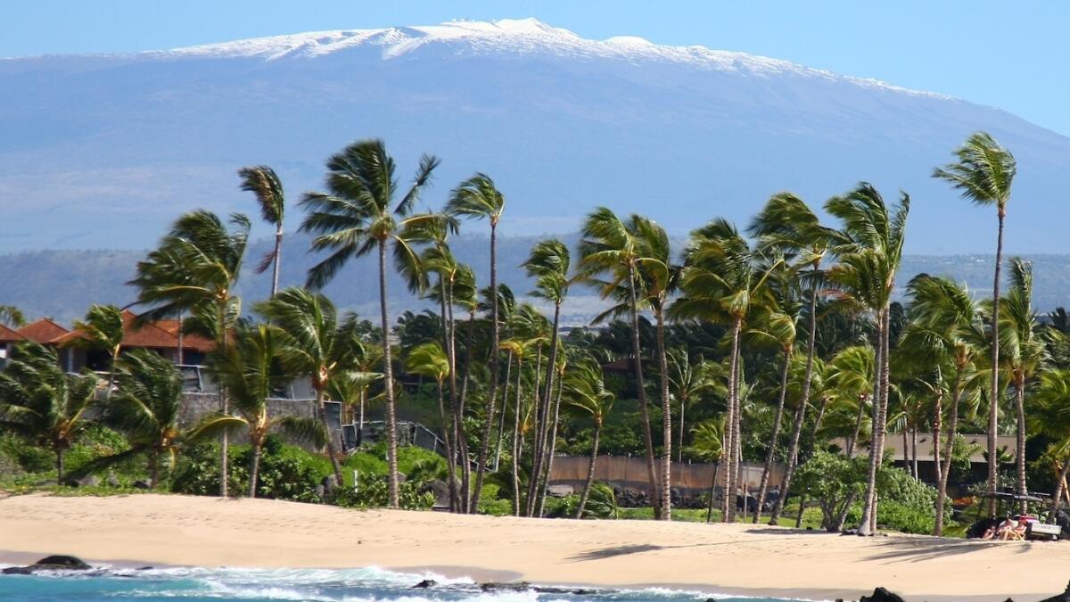 Despite warm sunshine along Hawaii Island's sandy shoreline, snow is clearly visible inland atop the dormant Mauna Kea volcano.