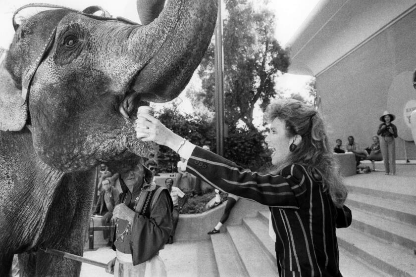 Roby Bernard with an elephant in an episode of 'General Hospital'
