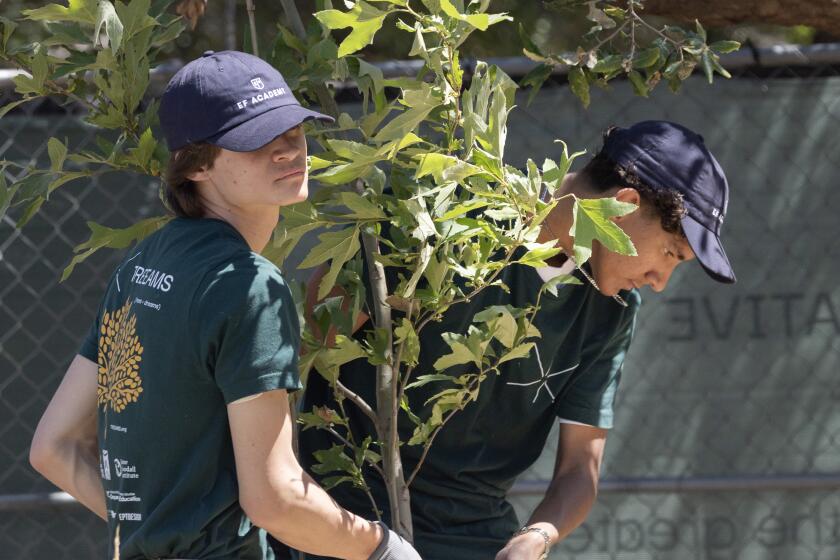 PACIFIC PALISADES, CA - MAY 19, 2026: Buddy Rice, left, and Alex Ranasinghe, 10th-graders at EF Academy in Pasadena carry a planted California sycamore during the TREEAMS (Trees + Dreams) nursery launch at Aldersgate in Pacific Palisades, CA on Tuesday, May 19, 2026. The project is student-led with the goal of planting 5,000 trees that will be donated to the 2025 wildfire-impacted areas. (Myung J. Chun / Los Angeles Times)