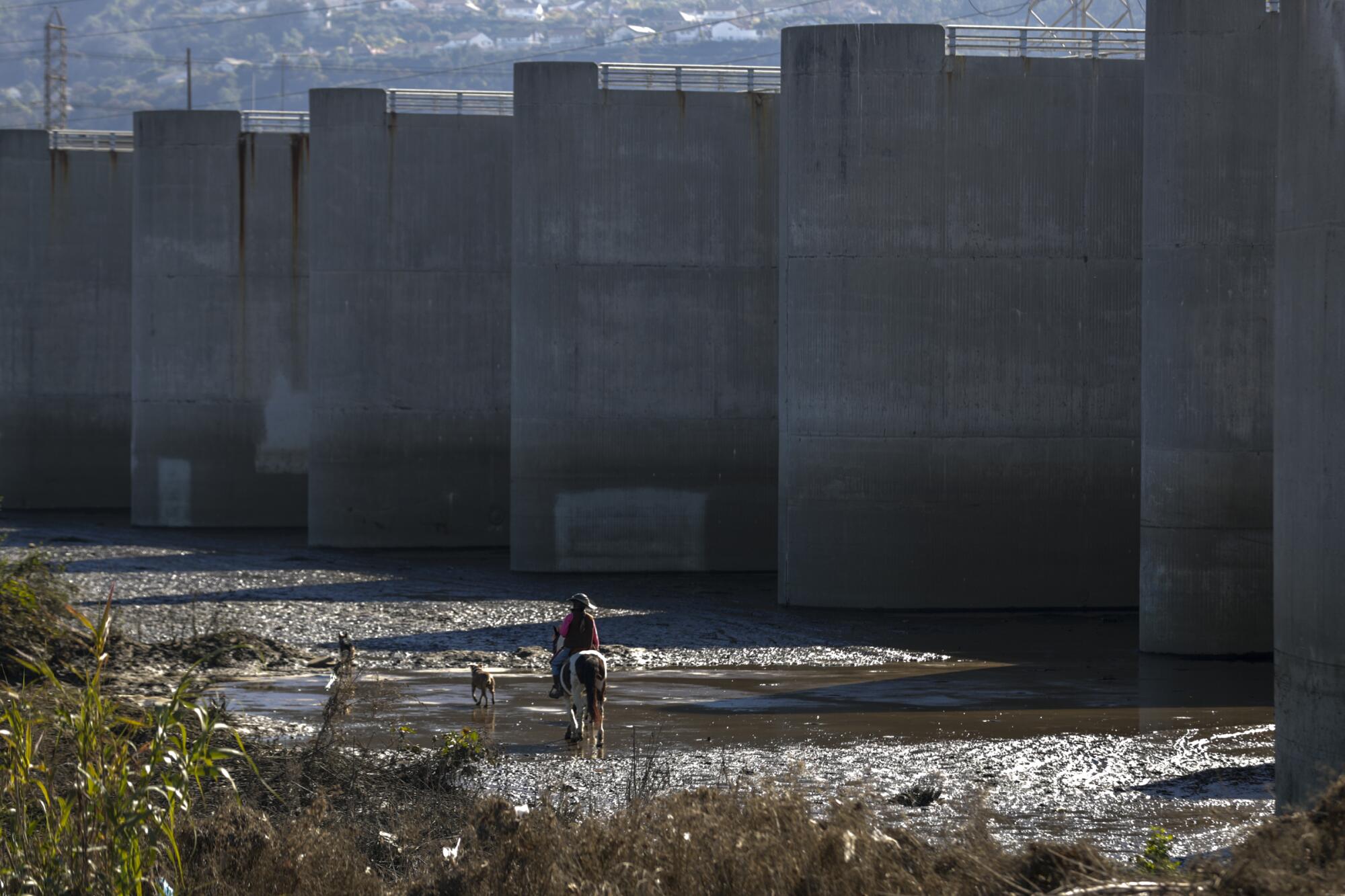 The U.S. Army Corps of Engineers has determined that the aging Whittier Narrows Dam could fail