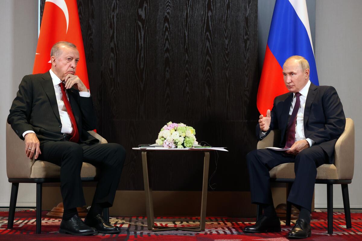 Vladimir Putin, right, speaks to Recep Tayyip Erdogan. Both are seated in front of their respective countries's flags