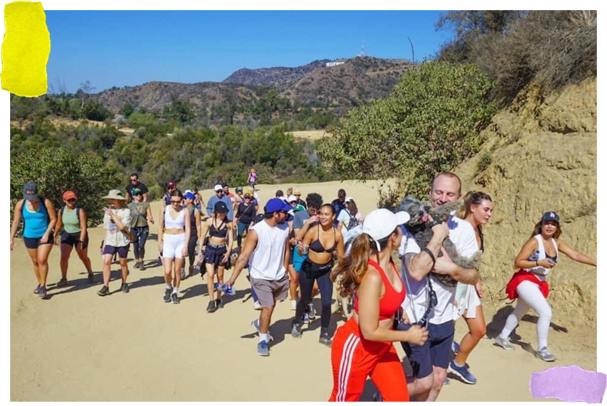 A group of people hiking, with the Hollywood sign visible on the hills in the background