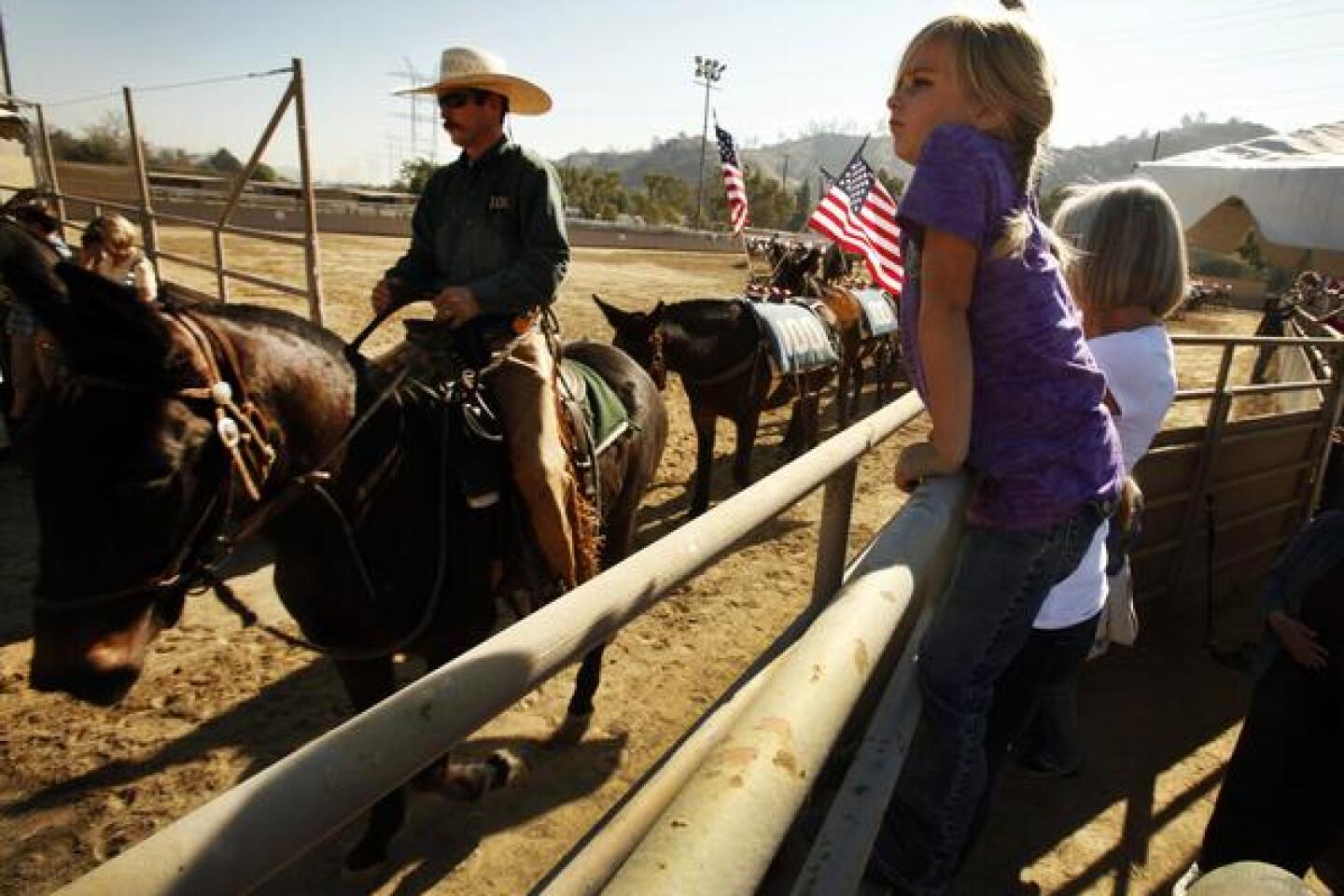 Los Angeles Equestrian Center
