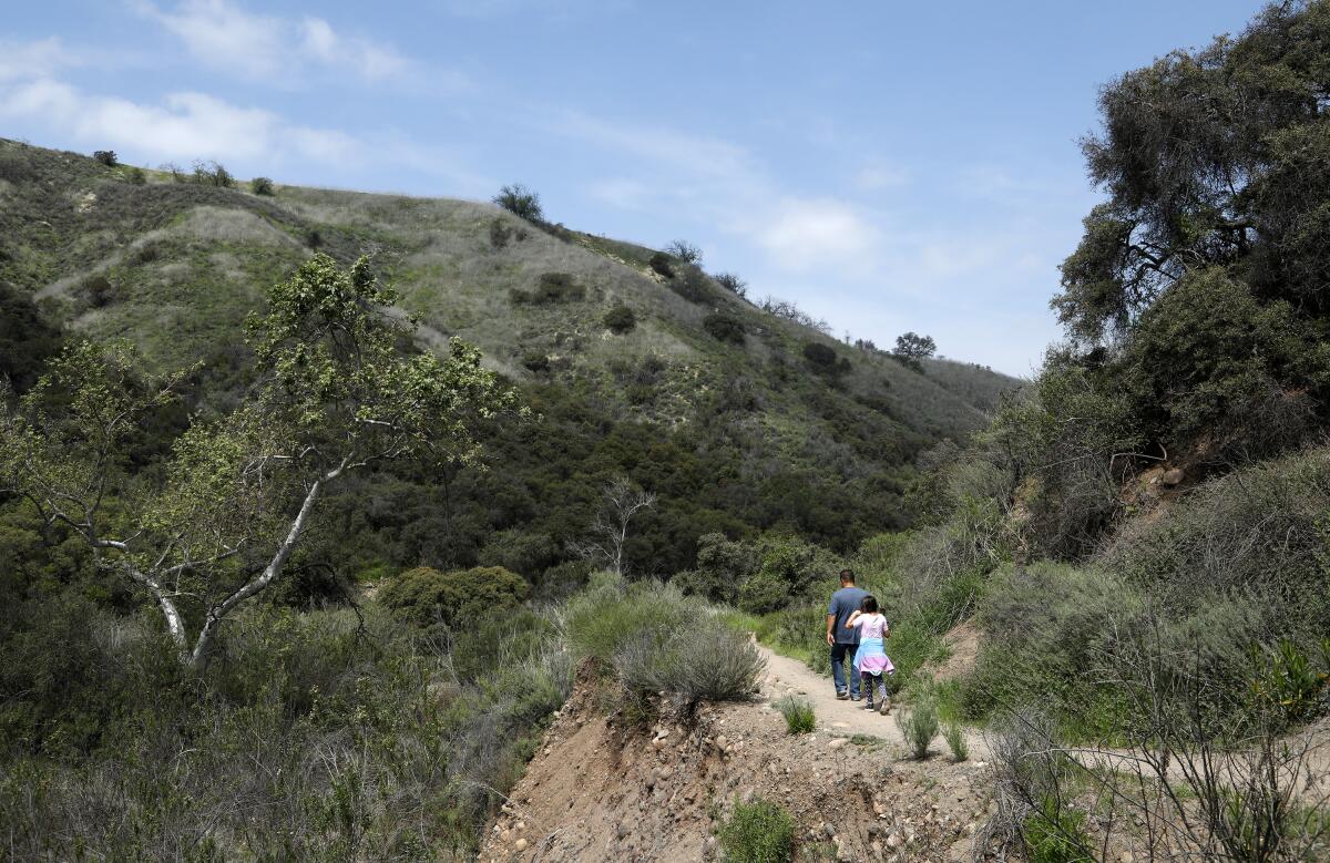 Two folks walk along a dirt path towards a hill in the distance. The trail is surrounded by dark green flora.