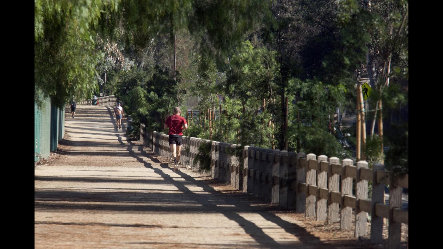 L.A. Walks: Griffith Park