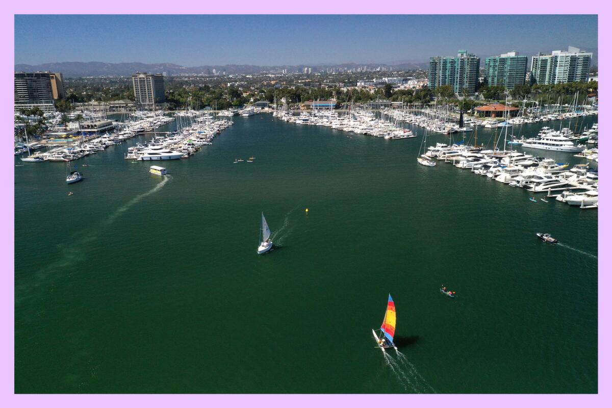 An aerial view of sailboats approaching a marina