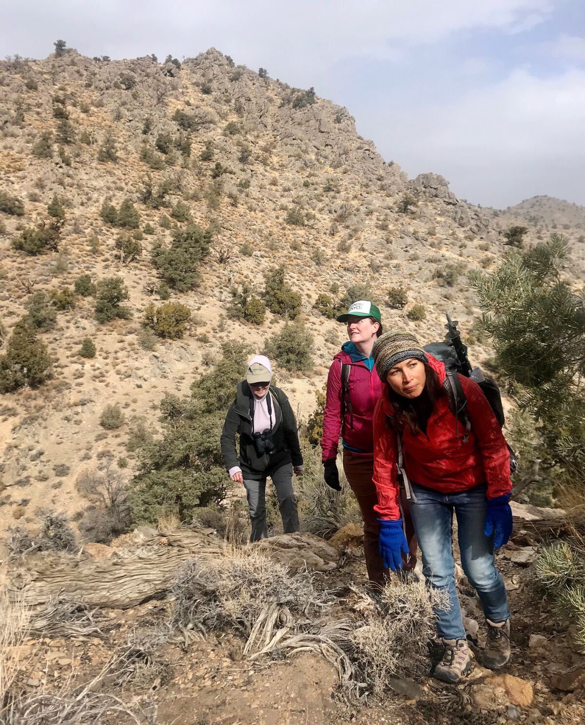 Three women hike in an area of the Conglomerate Mesa wilderness where the Inyo rock daisy is found.