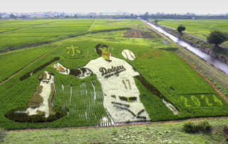 A massive portrait of Shohei Ohtani and his dog in a rice paddy.