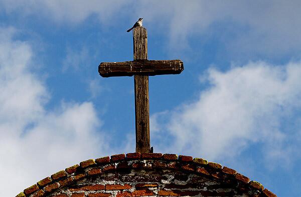 A perch for viewing -- and singing