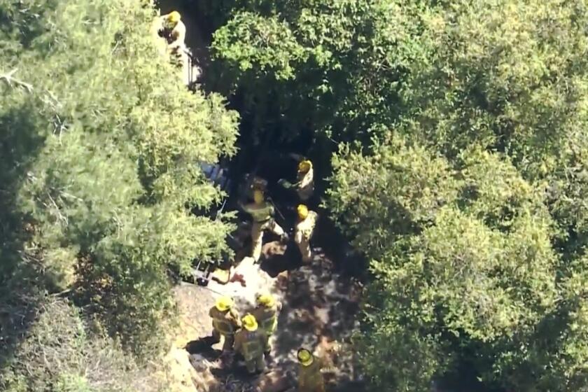 A worker died when he was crushed by a forklift in Los Angeles' Bel Air neighborhood on Monday, officials said. The accident occurred at about 1 p.m. at a construction site between homes in the 900 block of North Moraga Drive, where L.A. city firefighters responded to reports of a person trapped under a forklift carrying steel rebar.