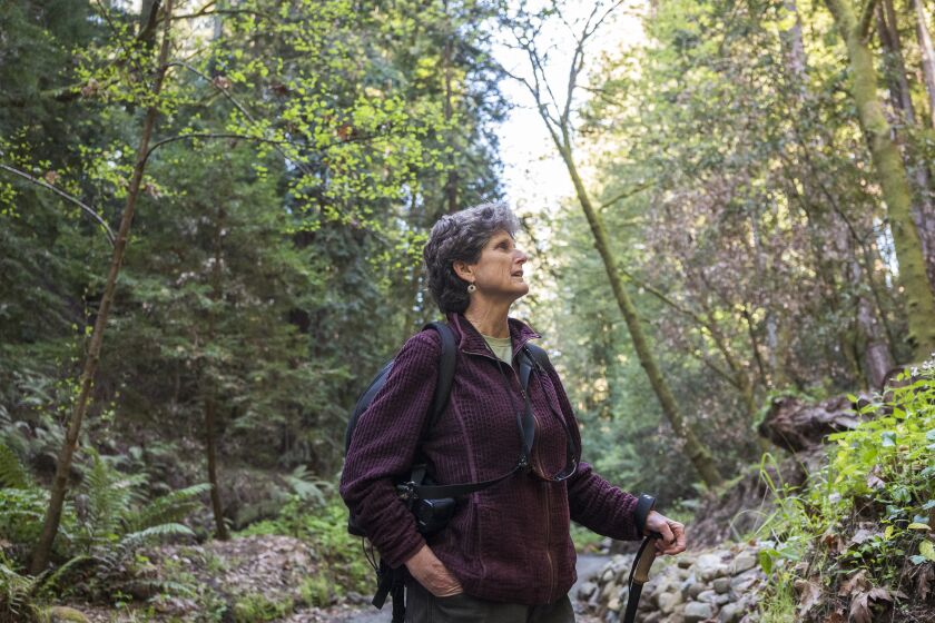 Angelica Glass hikes along Hinckley Basin Road in Santa Cruz County, Calif. on March 26, 2022.