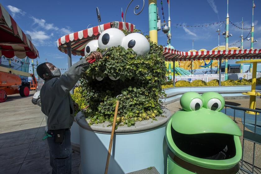 UNIVERSAL CITY, CA - MARCH 17, 2021: Horticulturist Frank Phillips trims English ivy around a decorative caterpillar located at Super Silly Fun Land on the grounds of Universal Studios Hollywood as the theme park prepares to re-open. (Mel Melcon / Los Angeles Times)