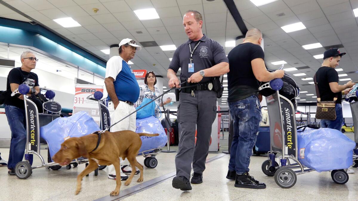 Miami-Dade police Officer William Cook Jr. and his police dog Ringo patrol Miami International Airport on June 30.