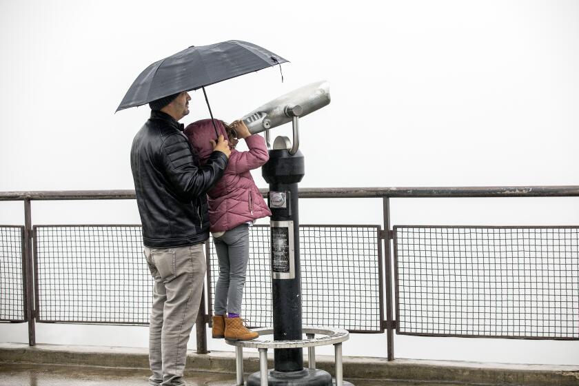 LOS ANGELES, CA-DECEMBER 30, 2022: Leia Capote, 6, with her father, Luis, 40, doesn't have much to look at do to inclement weather, outside the Griffith Observatory in Los Angeles. They are visiting from Miami, Florida.(Mel Melcon / Los Angeles Times)