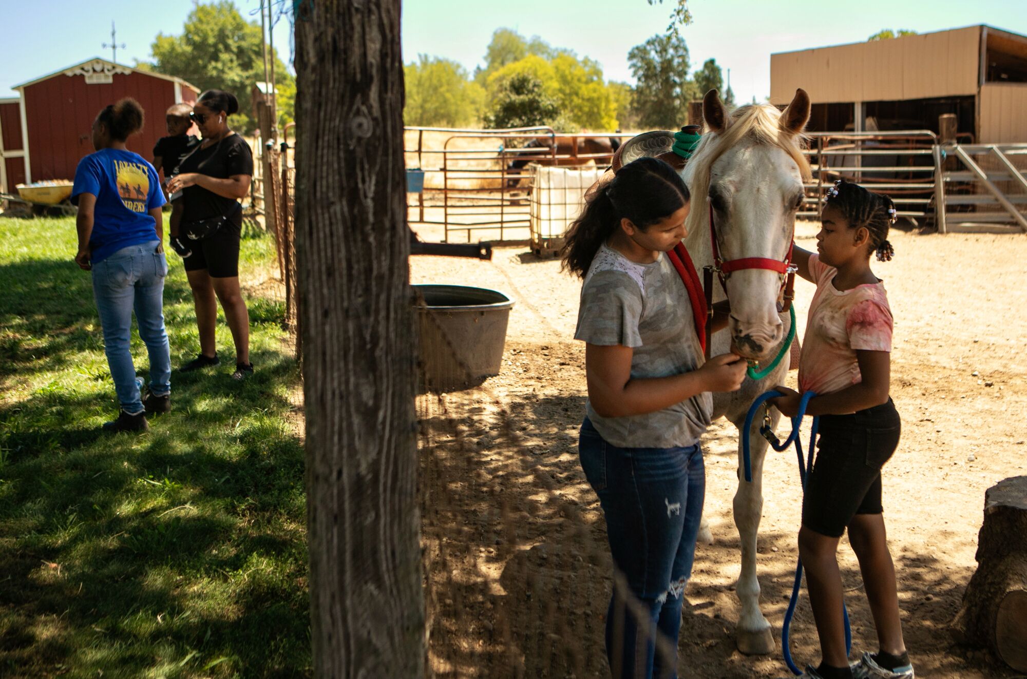 Two friends taking care of a horse in a corral as others stand and chat on the grass outside the enclosure