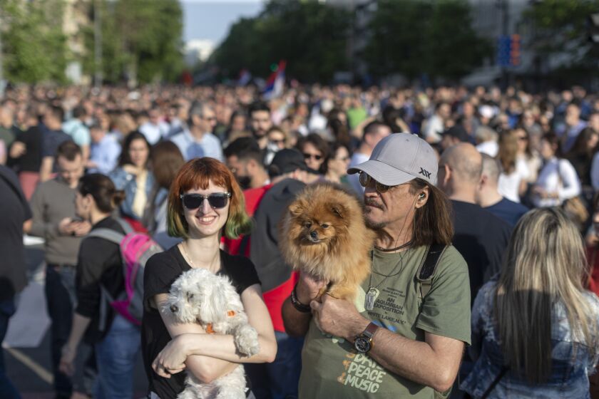 Two people carry their dogs as they attend a protest in Belgrade, Serbia, Saturday, June 3, 2023. Tens of thousands of people rallied in Serbia's capital on Saturday in protest of the government's handling of a crisis after two mass shootings in the Balkan country. (AP Photo/Marko Drobnjakovic)