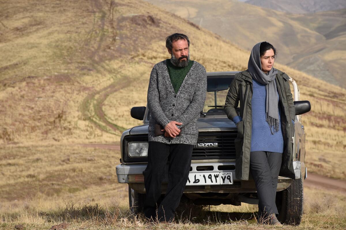 A man and a woman wearing a scarf lean on the hood of a car in a field.