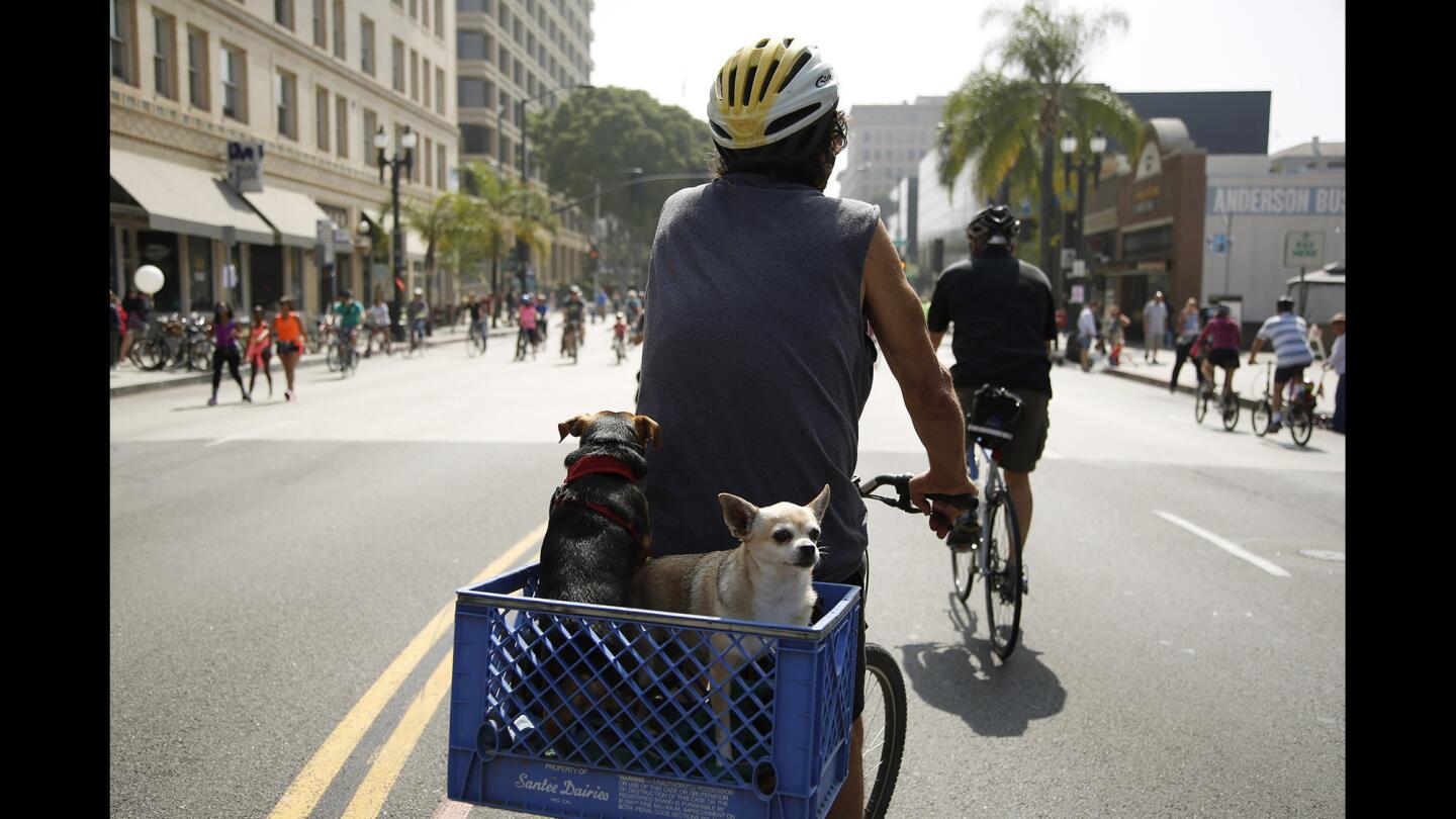 CicLAvia