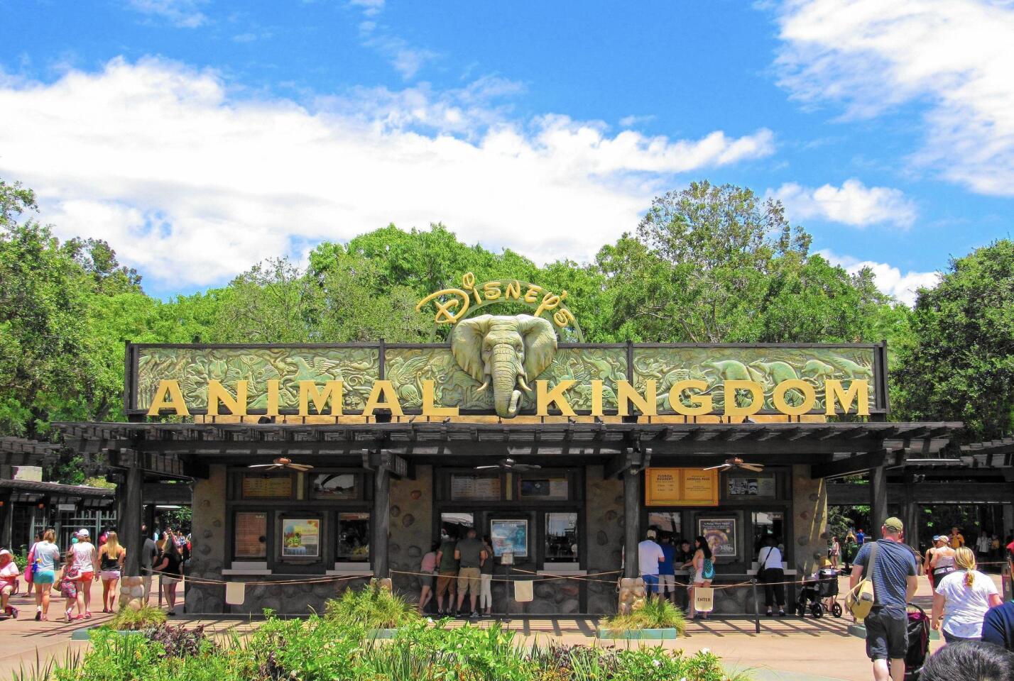 The extensive foliage at the entrance to Animal Kingdom hides the park’s iconic Tree of Life.