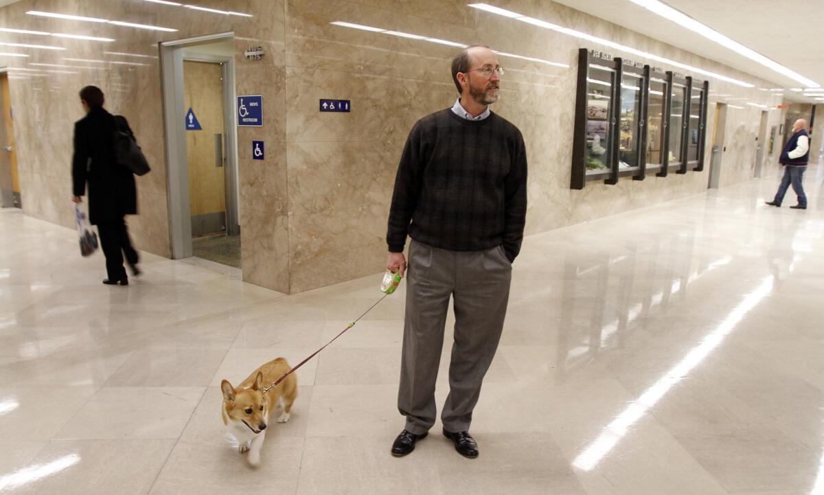 Sutter, the corgi belonging to California Gov. Jerry Brown, is walked through the halls of the state Capitol in March 2011 by then-Brown strategist Steve Glazer. Glazer is now locked in a heated primary battle for a Bay Area Assembly seat.