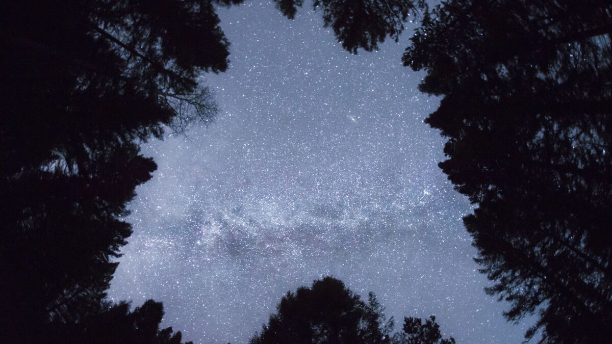 The night sky, something for insomniacs to contemplate.