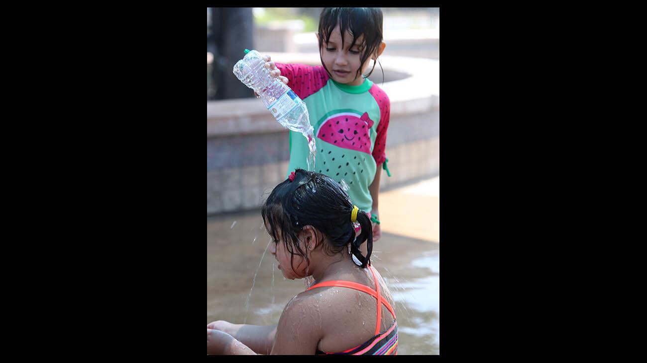 Photo Gallery:Keeping it cool when its hot